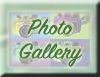 photo gallery.jpg